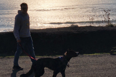 Jimmy and Scout along the Pacific coast